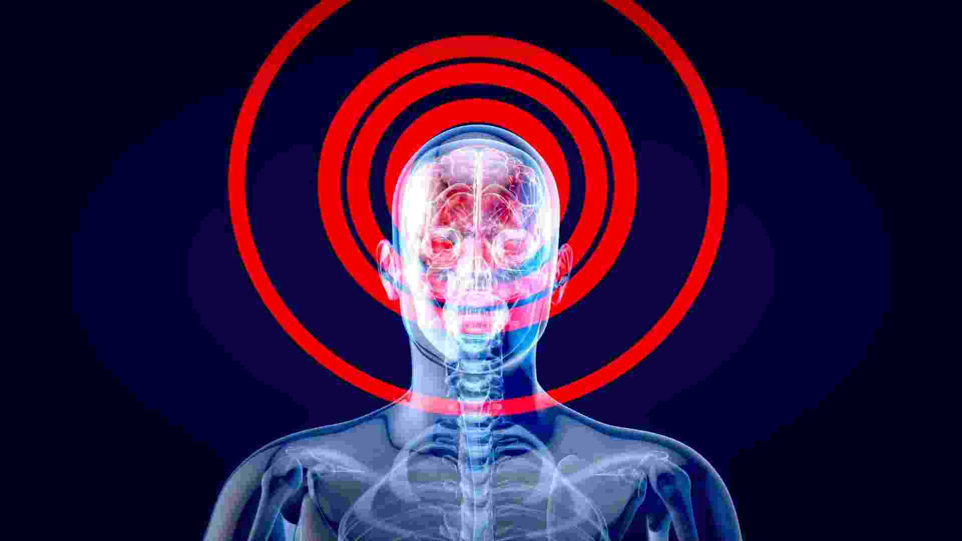 The Anterior Thalamic Nuclei The Anterior Thalamic Nuclei