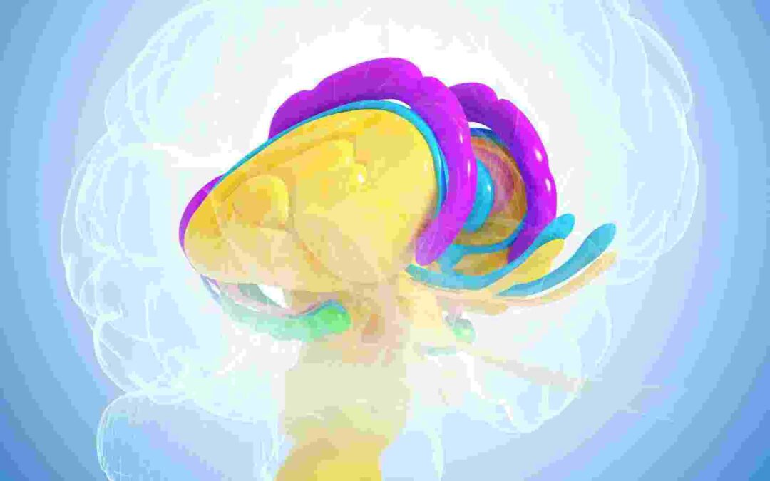 The Hippocampus: Memory And Navigation
